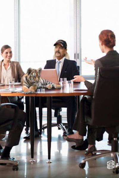 Board Portal Software